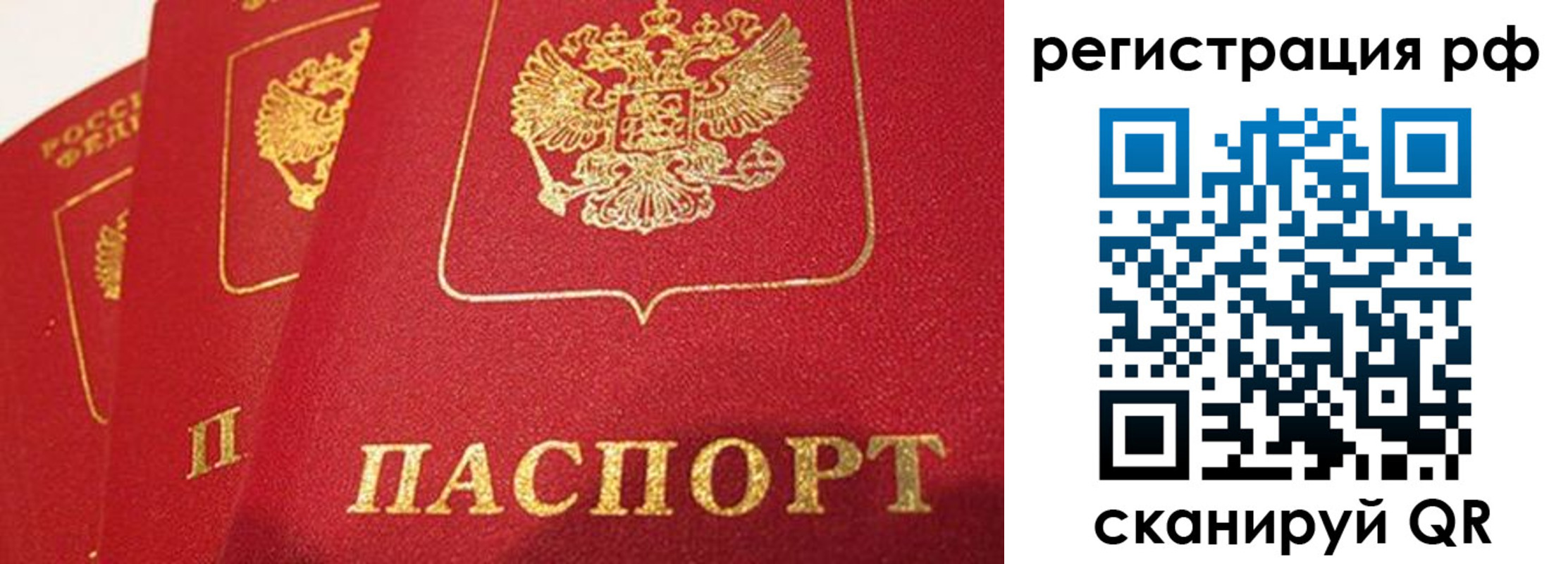 прописка поиск в Электрогорске